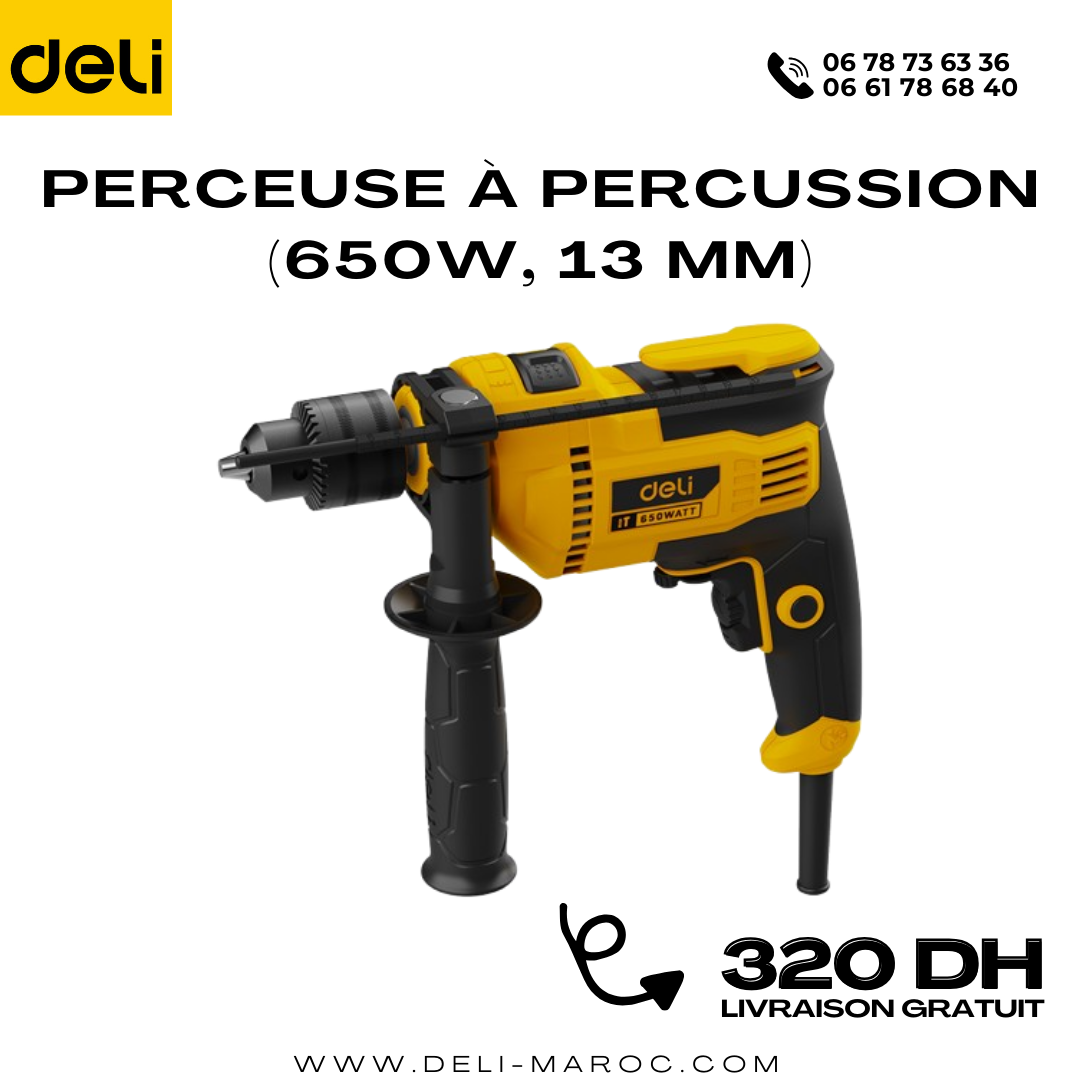 Perceuse à Percussion (650W, 13 mm)