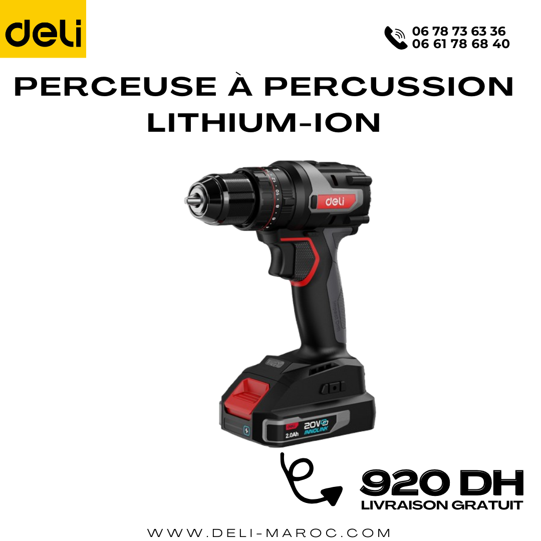 Perceuse à percussion Lithium-ion   20v 10mm 2.0ah*2